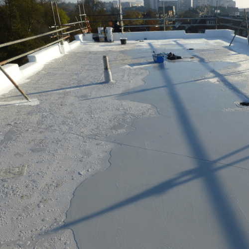 roof paint
